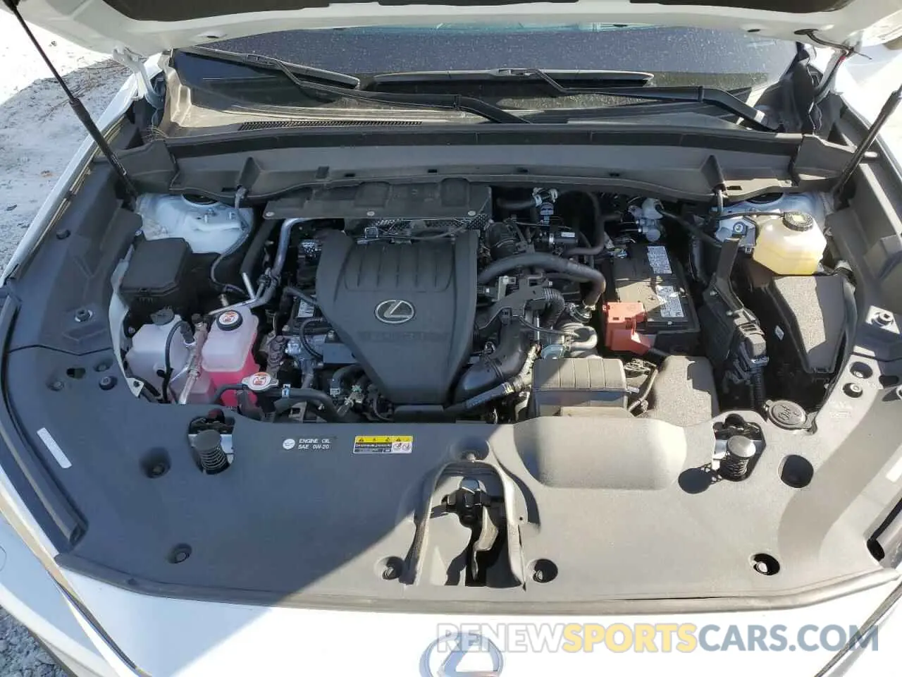 12 fotografías del automóvil dañado 5TDAAAA65RS009975 LEXUS TX 350 BAS 2024
