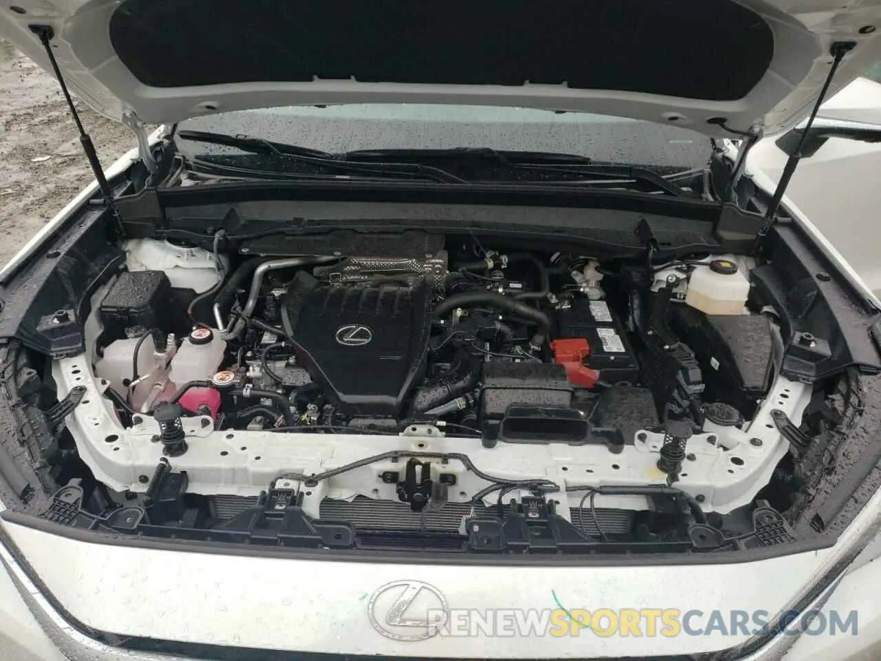12 fotografías del automóvil dañado 5TDAAAB65RS015564 LEXUS TX 350 BAS 2024