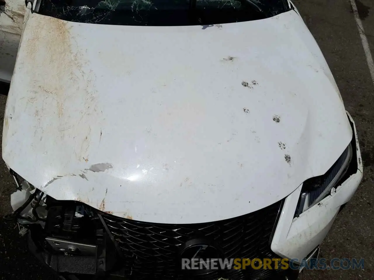 7 fotografías del automóvil dañado JTHY3JBH1K2006771 LEXUS UX 200 2019