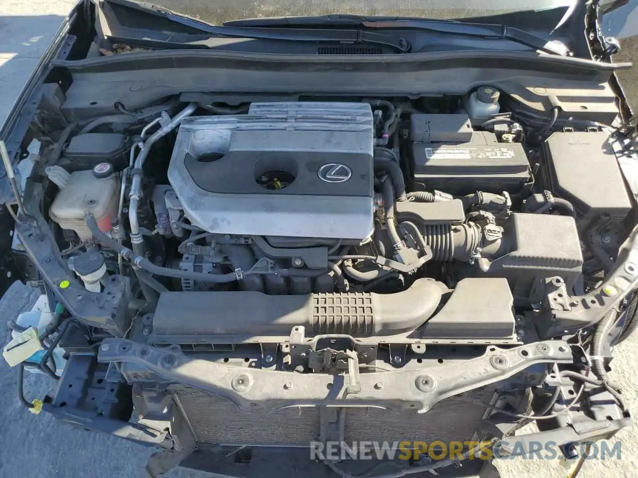 12 fotografías del automóvil dañado JTHY3JBH7K2005768 LEXUS UX 200 2019
