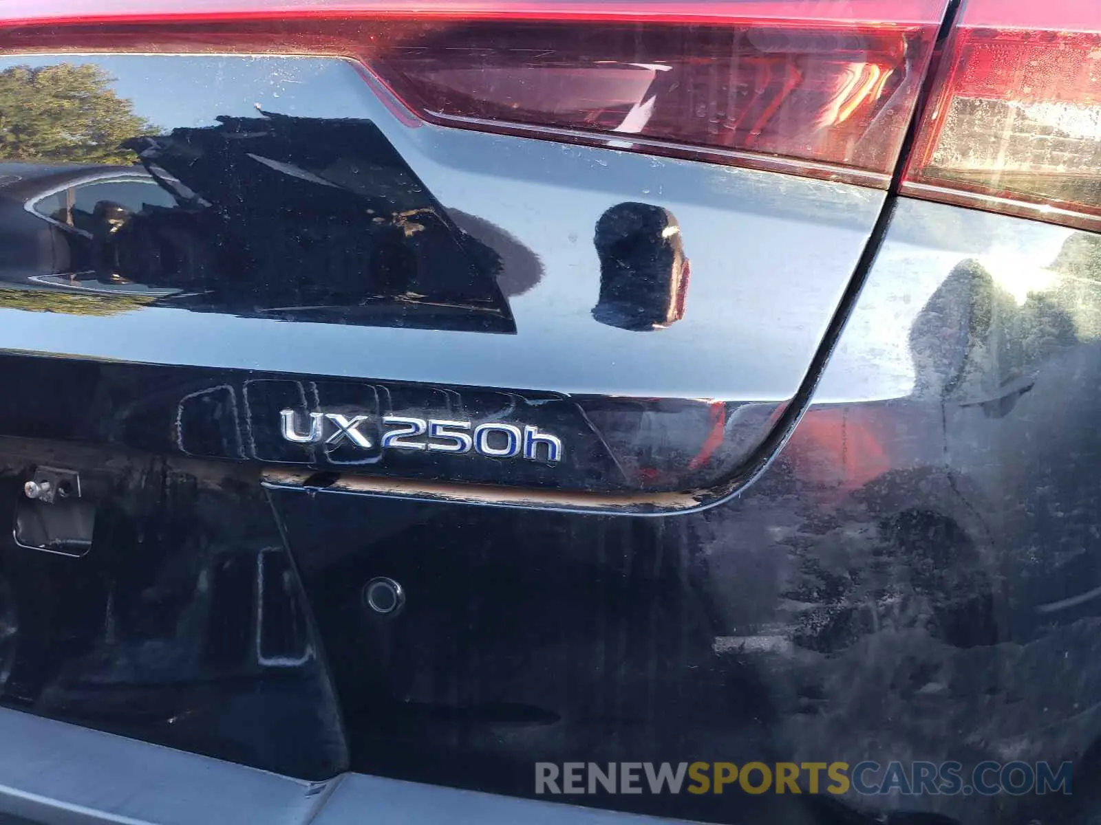 9 fotografías del automóvil dañado JTHU9JBHXK2006541 LEXUS UX 250H 2019