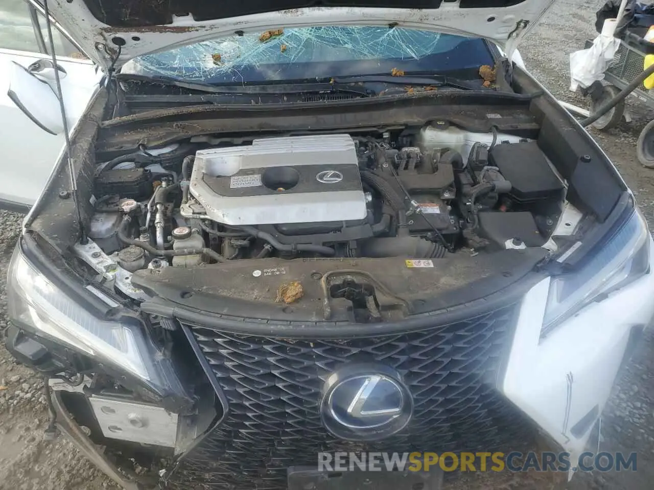 14 fotografías del automóvil dañado JTHR9JBH6L2028544 LEXUS UX 250H 2020