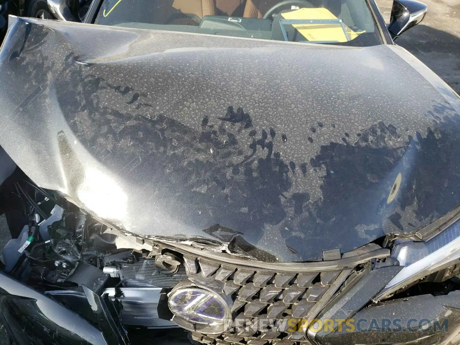 7 fotografías del automóvil dañado JTHX9JBH2L2033781 LEXUS UX 250H 2020