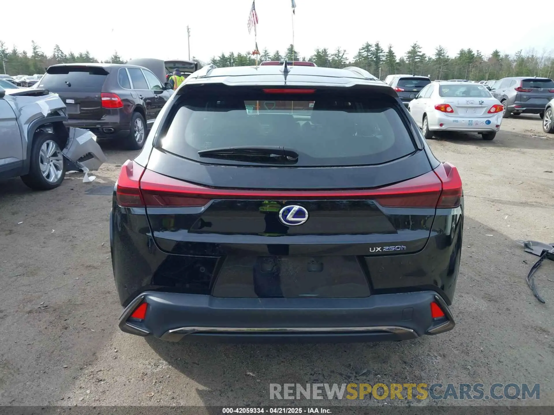 17 fotografías del automóvil dañado JTHR9JBH4N2062923 LEXUS UX 250H 2022
