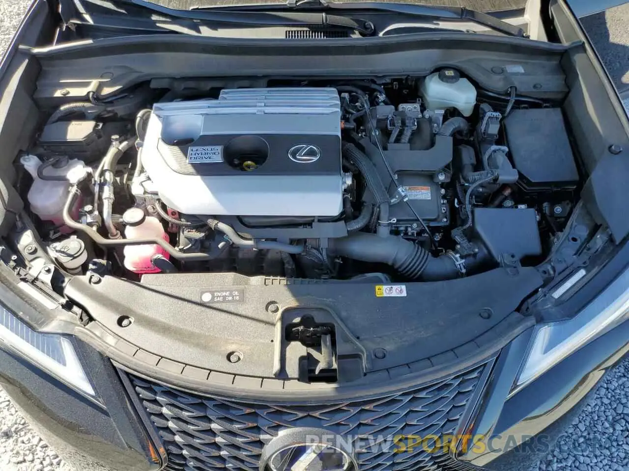 12 fotografías del automóvil dañado JTHR9JBH6N2060302 LEXUS UX 250H BA 2022