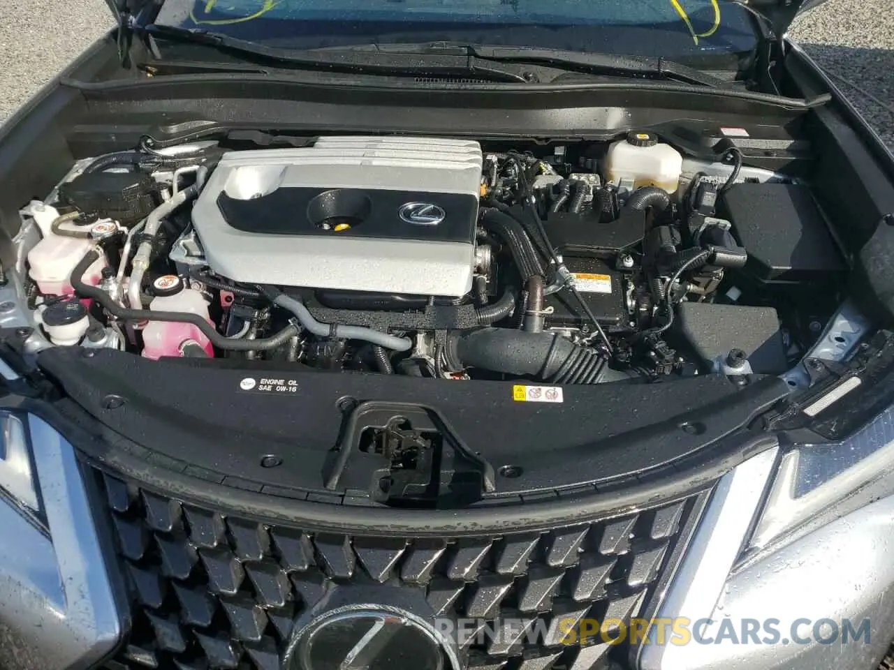 12 fotografías del automóvil dañado JTHP6JBH1P2156728 LEXUS UX 250H PR 2023