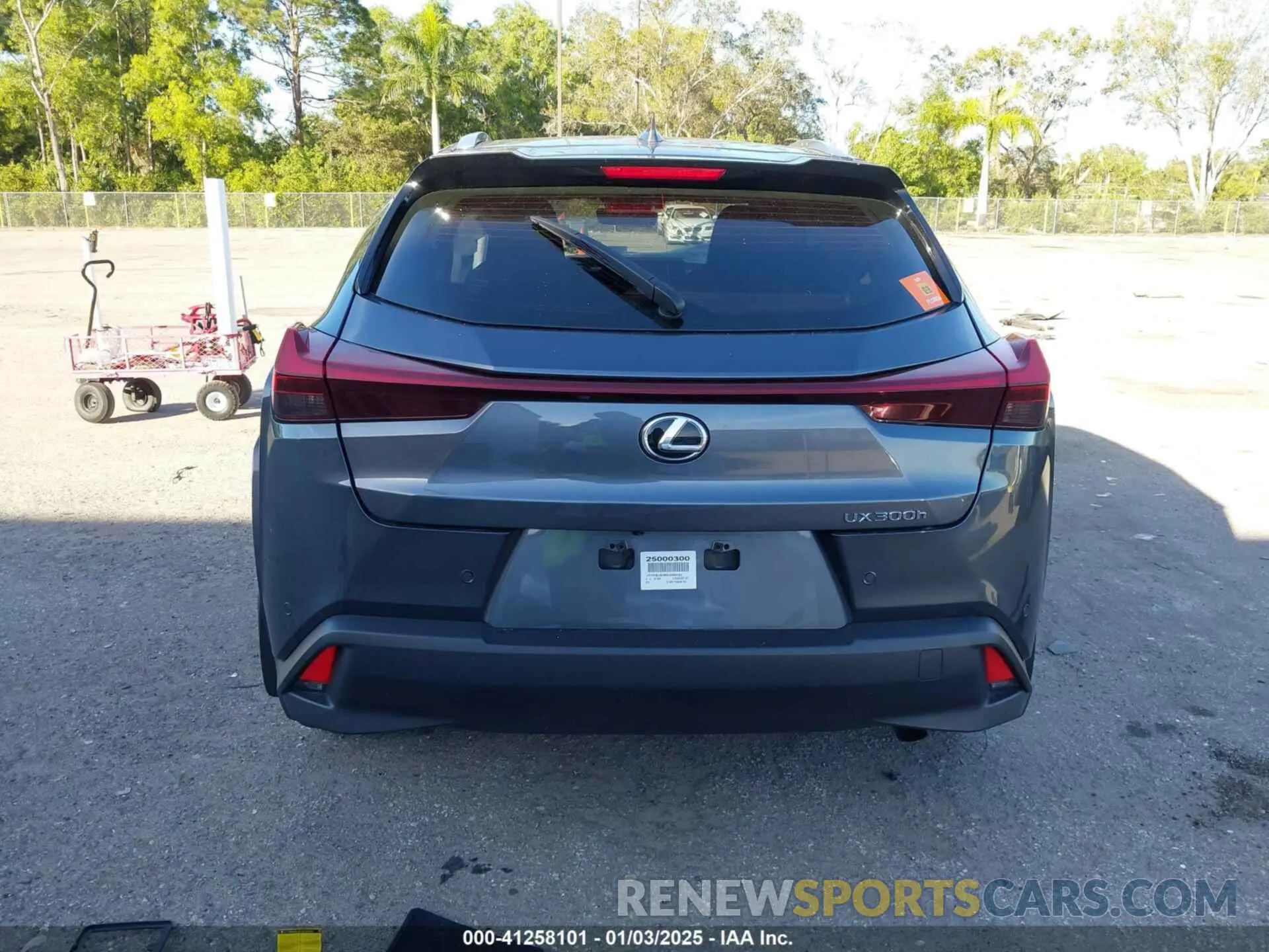 15 fotografías del automóvil dañado JTHYBJAH6S2000422 LEXUS UX 300H 2025