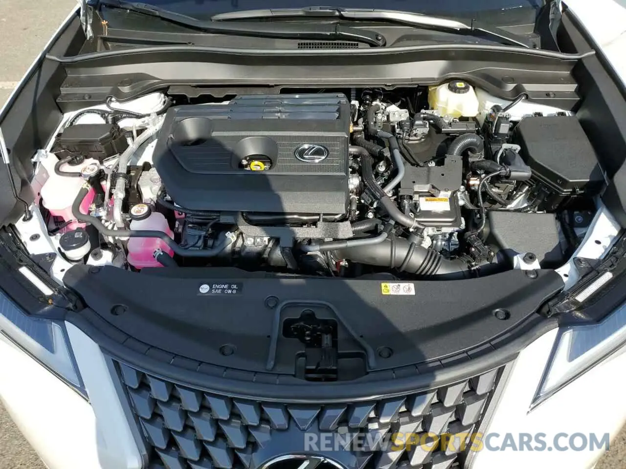 13 fotografías del automóvil dañado JTHUCJDH6S2007491 LEXUS UX 300H BA 2025