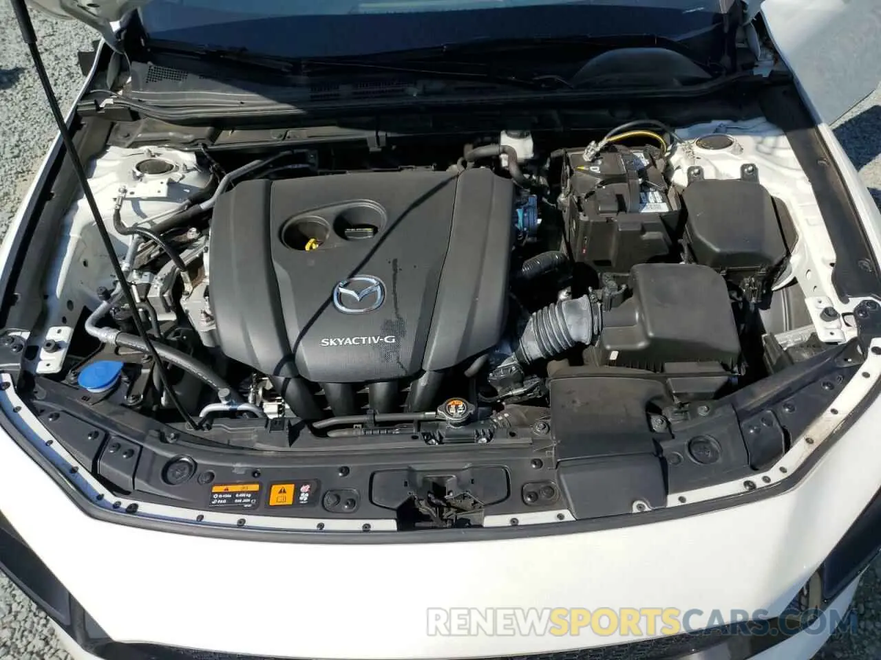 12 fotografías del automóvil dañado JM1BPANM1K1115306 MAZDA 3 2019