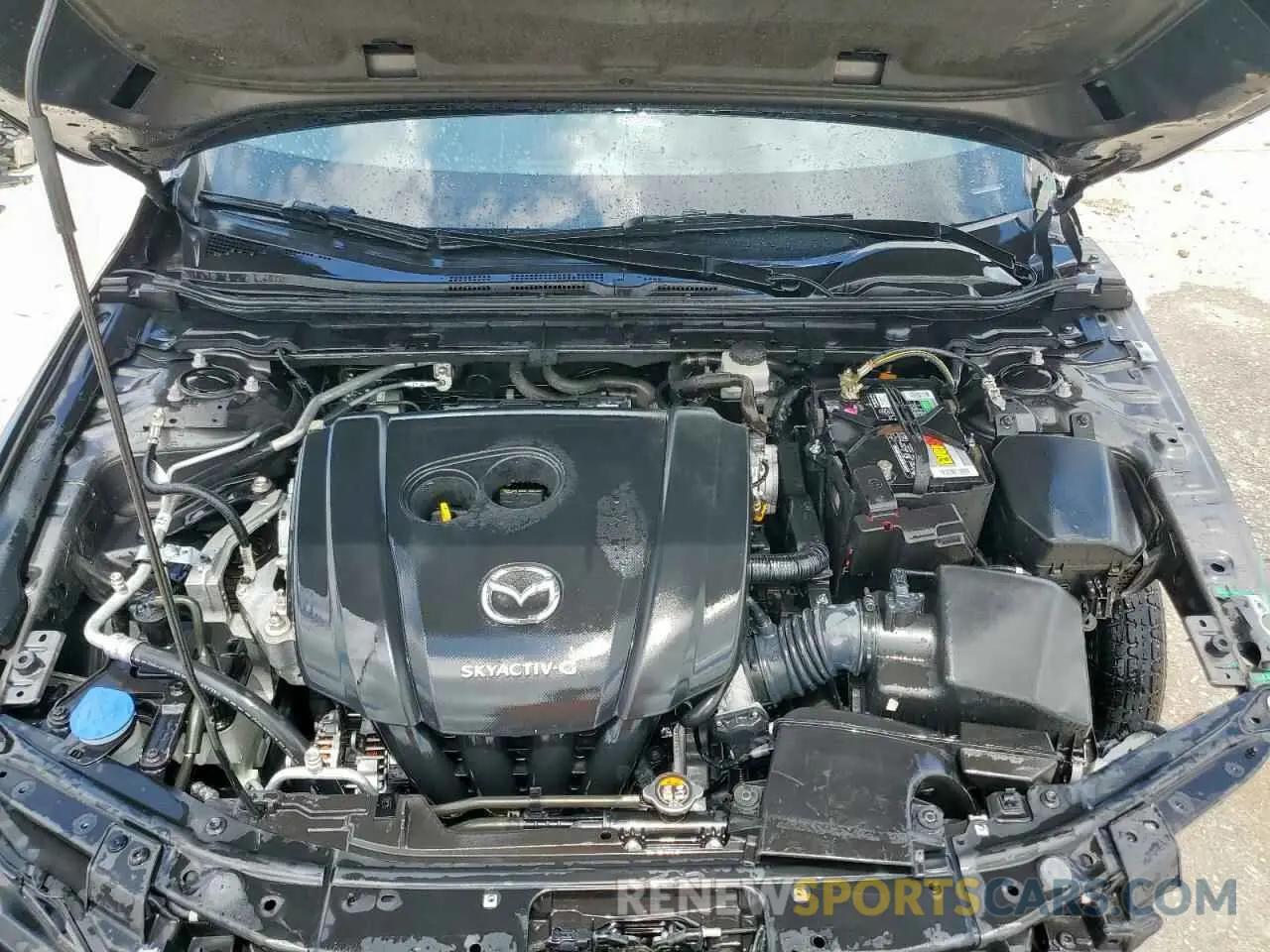 11 fotografías del automóvil dañado JM1BPALM3L1161384 MAZDA 3 2020