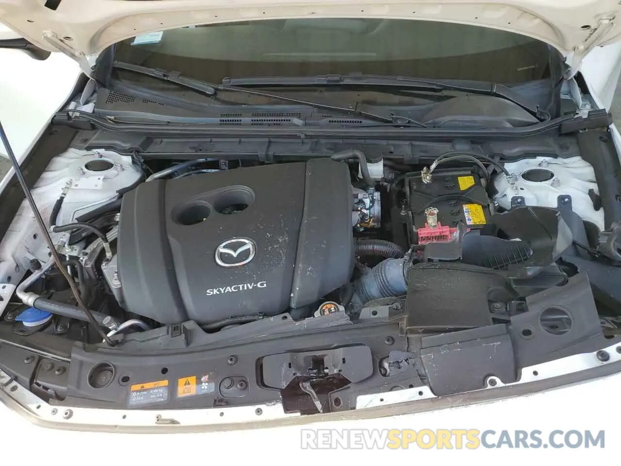 13 fotografías del automóvil dañado JM1BPALM8L1161025 MAZDA 3 2020