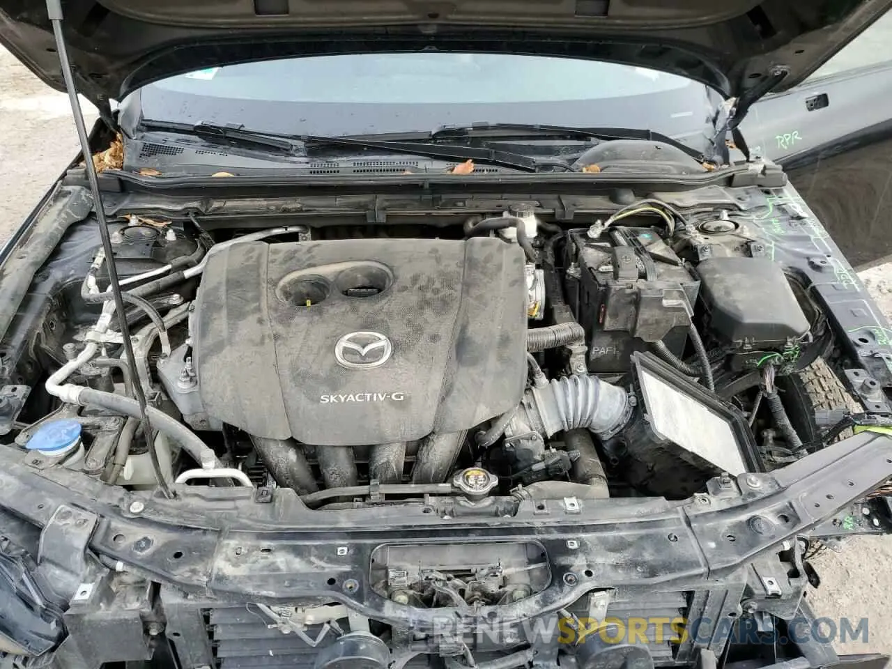 11 fotografías del automóvil dañado JM1BPAMM6L1161376 MAZDA 3 2020