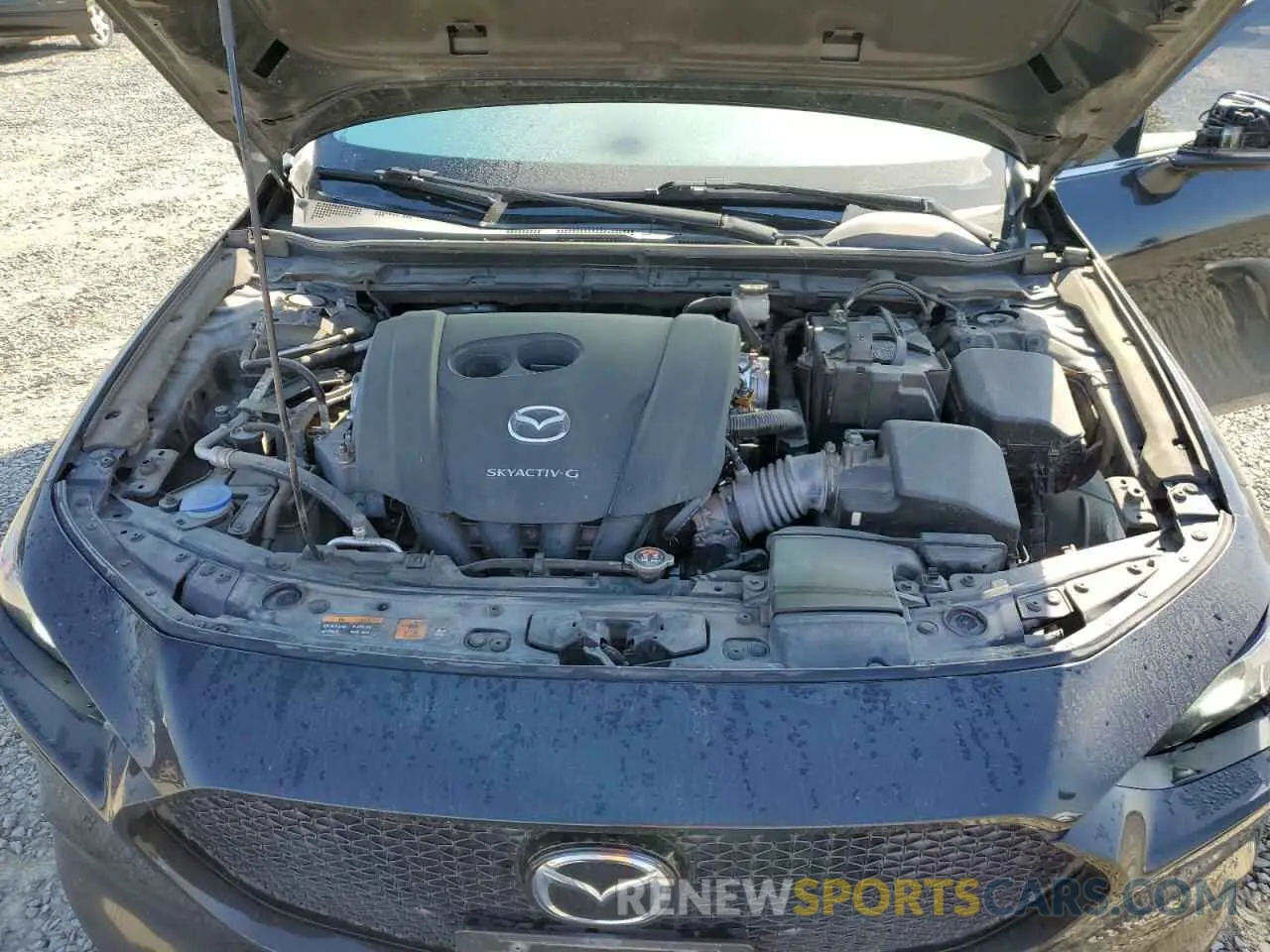 11 fotografías del automóvil dañado JM1BPANM3L1162662 MAZDA 3 2020