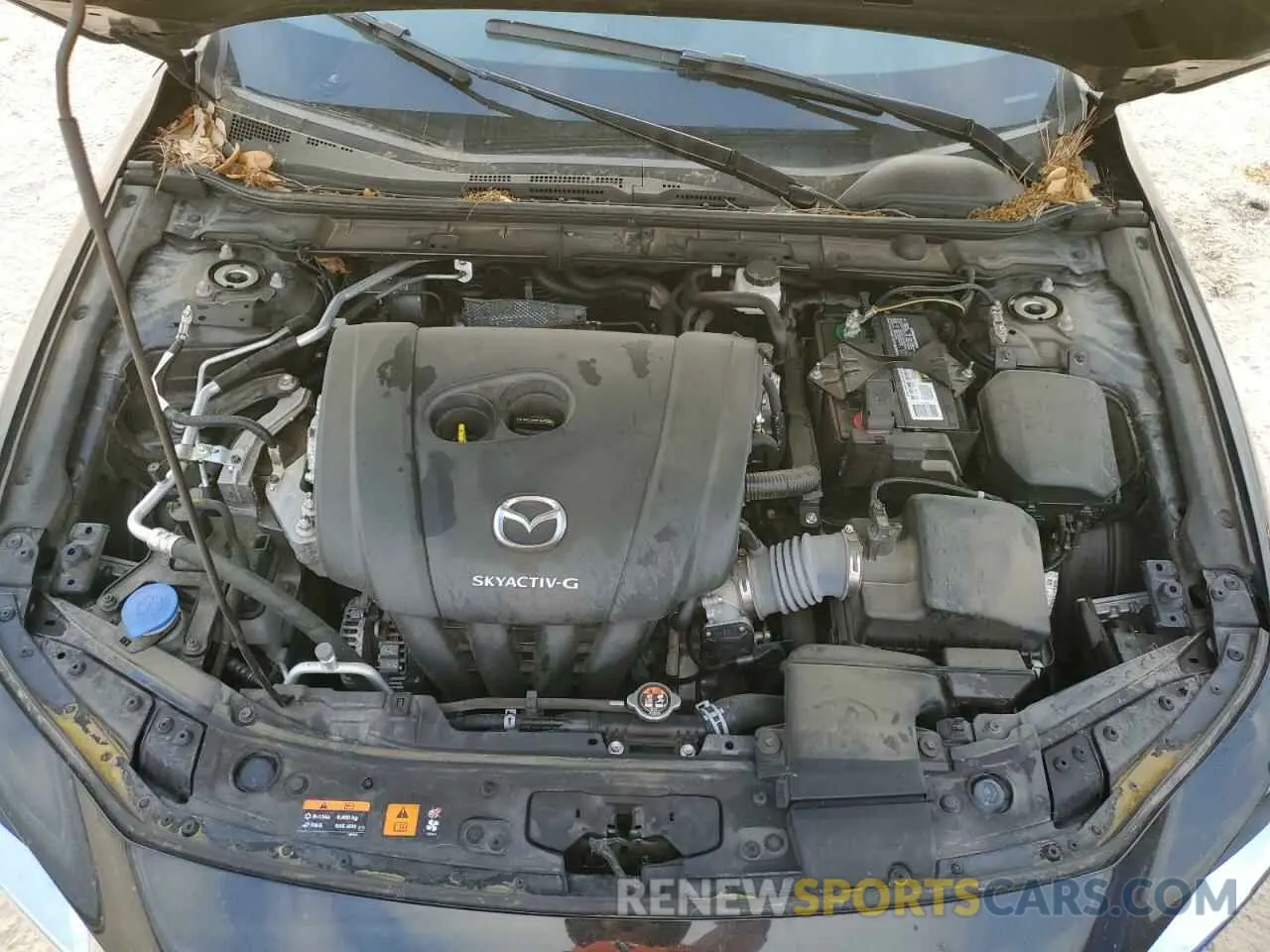 11 fotografías del automóvil dañado 3MZBPABL6MM253616 MAZDA 3 2021