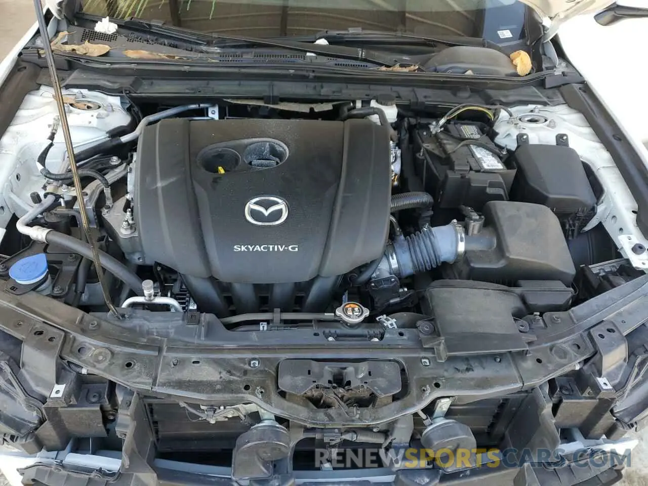 11 fotografías del automóvil dañado 3MZBPABM5MM207137 MAZDA 3 2021