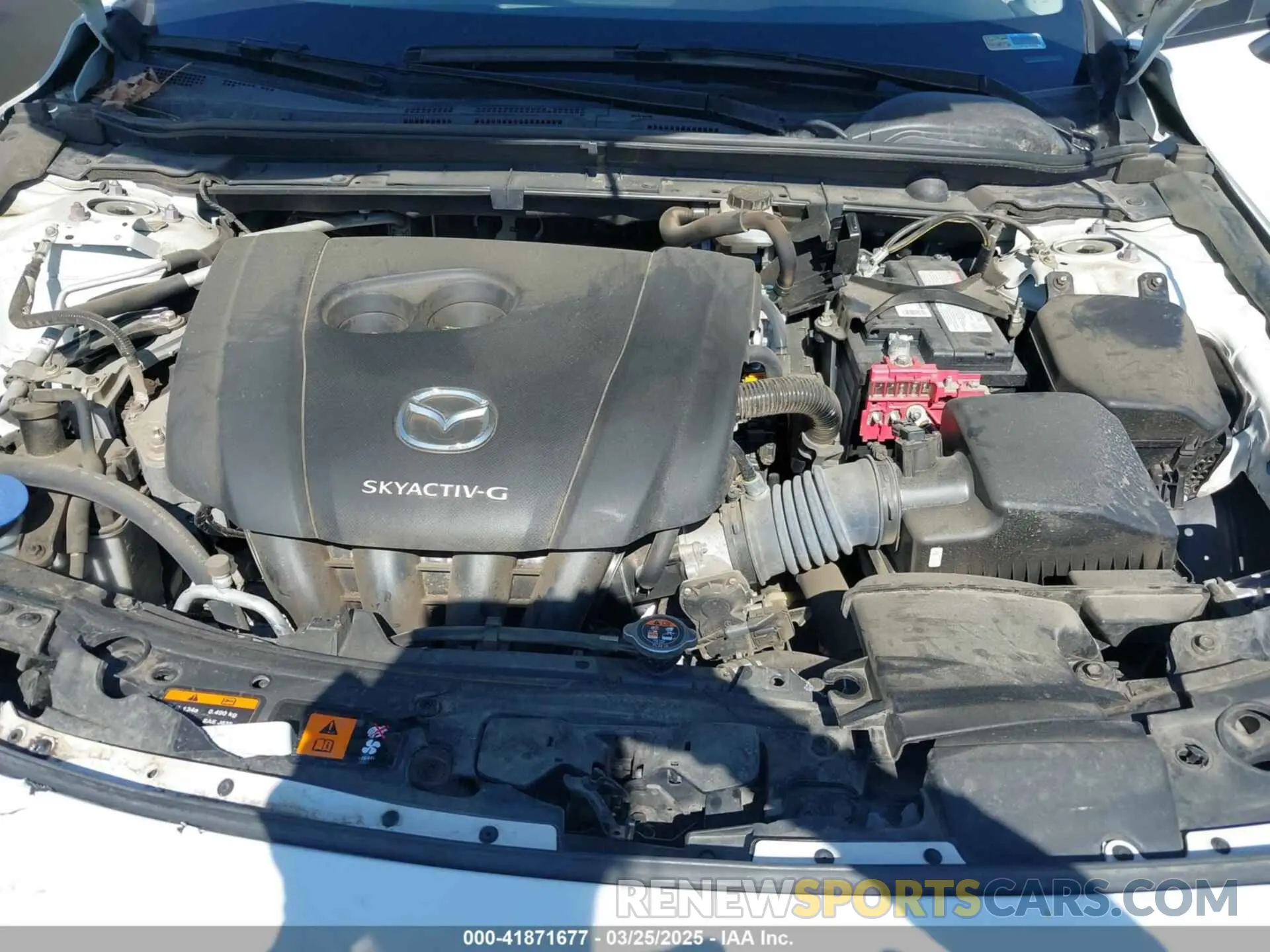 10 fotografías del automóvil dañado JM1BPDCL7M1330705 MAZDA 3 2021
