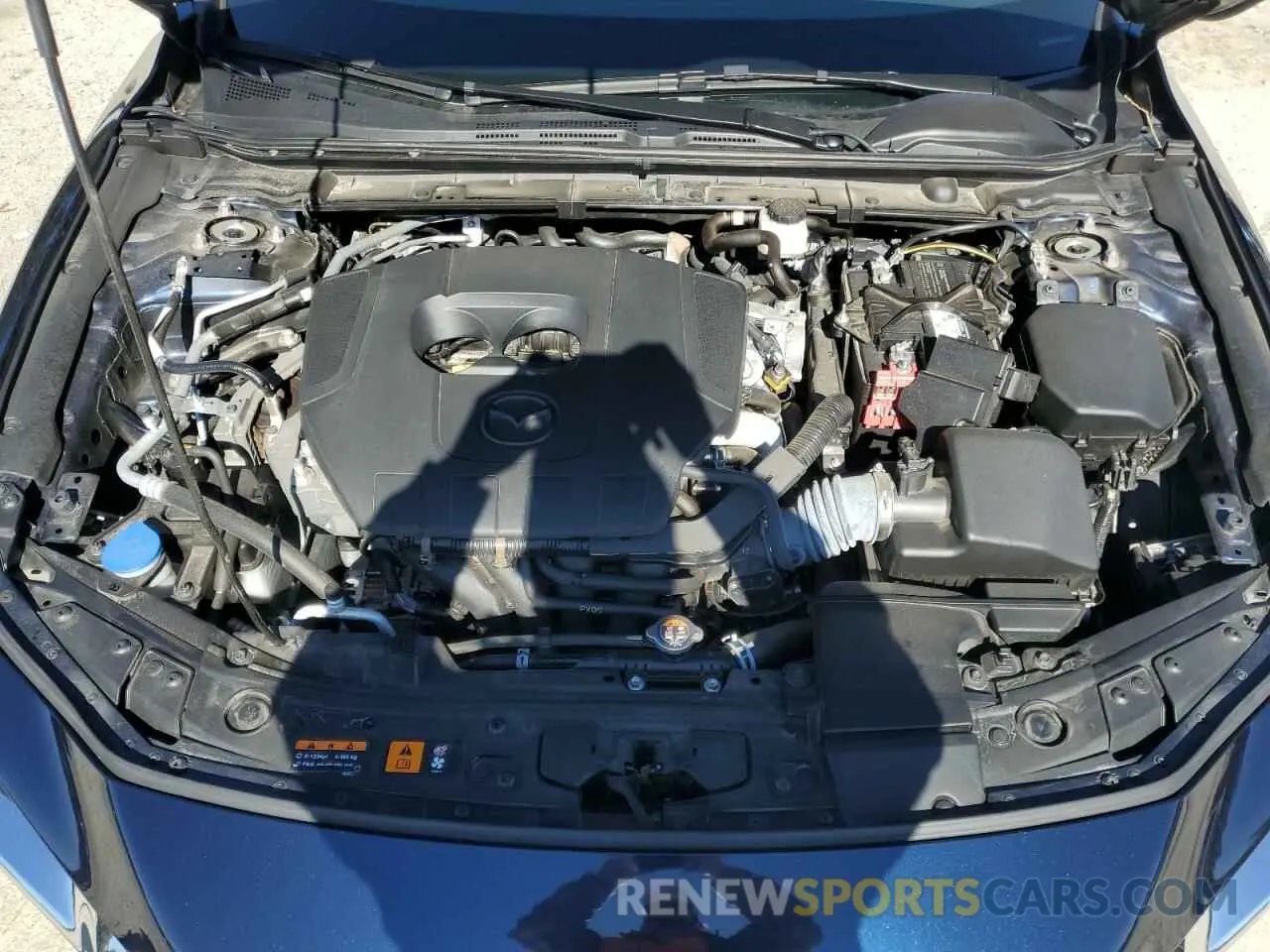 11 fotografías del automóvil dañado 3MZBPABM2PM372034 MAZDA 3 2023