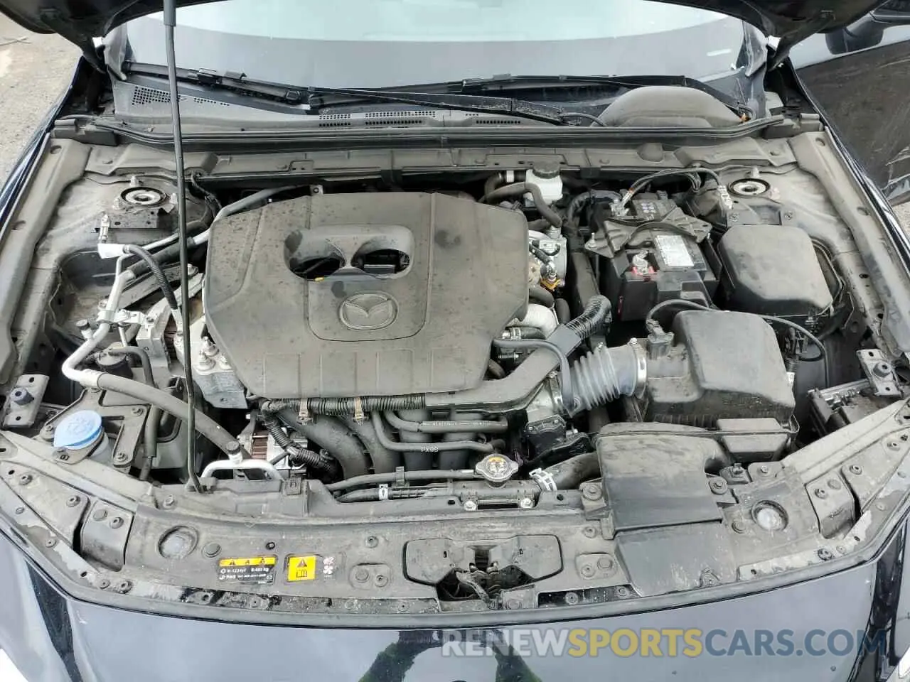 11 fotografías del automóvil dañado 3MZBPABM3PM356635 MAZDA 3 2023