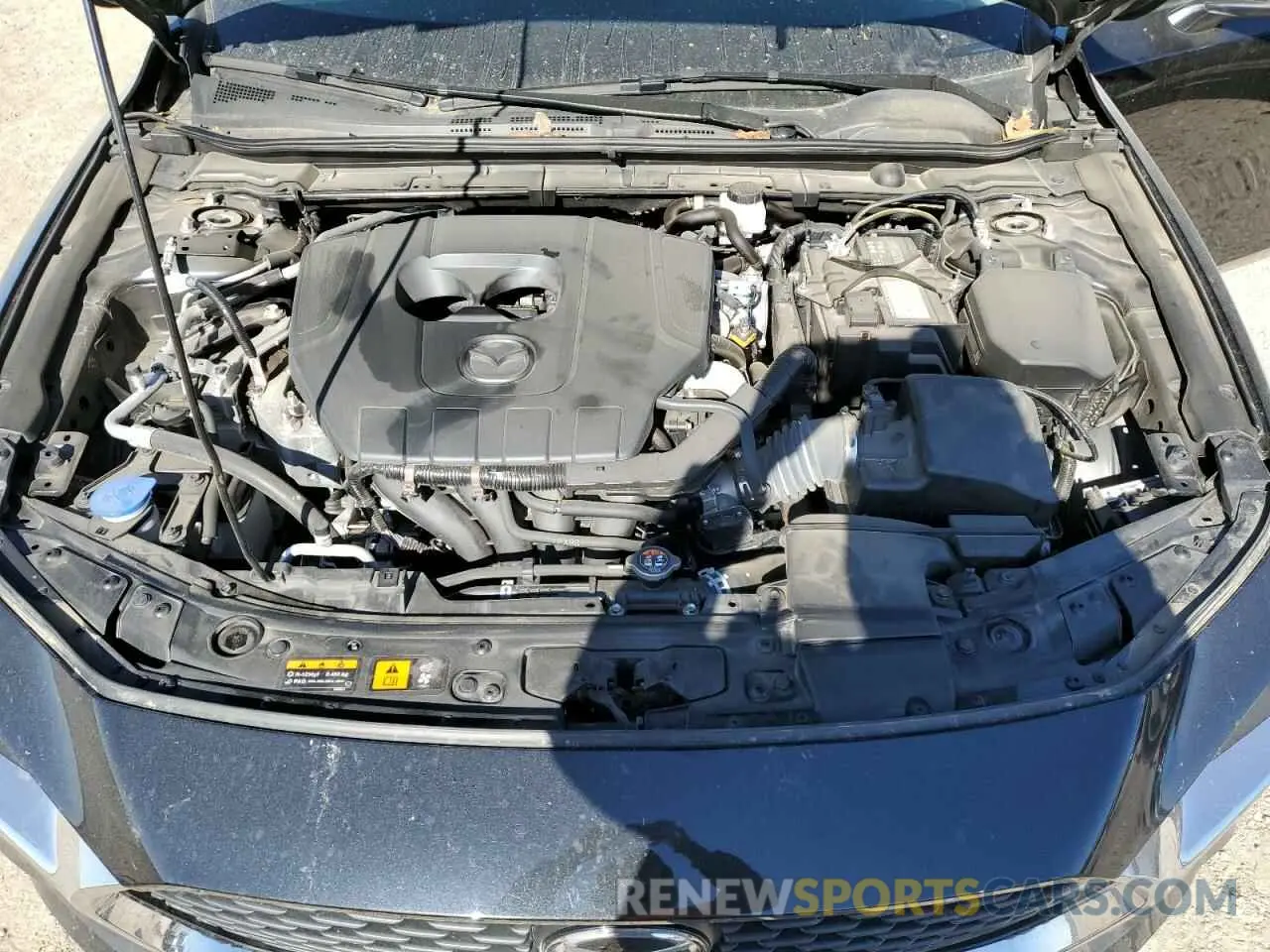 11 fotografías del automóvil dañado 3MZBPABM9PM373312 MAZDA 3 2023