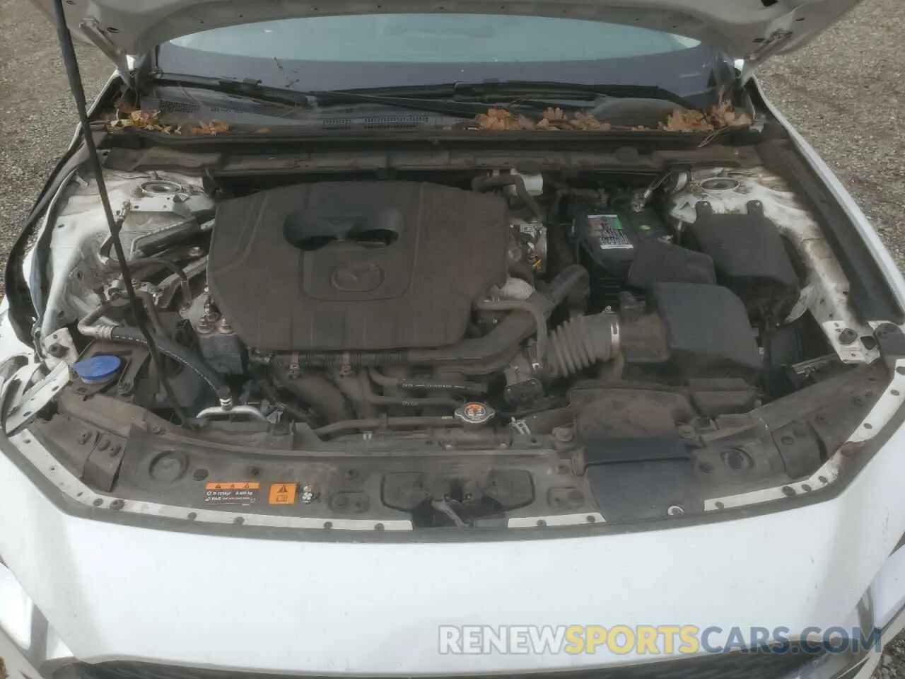 11 fotografías del automóvil dañado 3MZBPACMXPM356324 MAZDA 3 2023