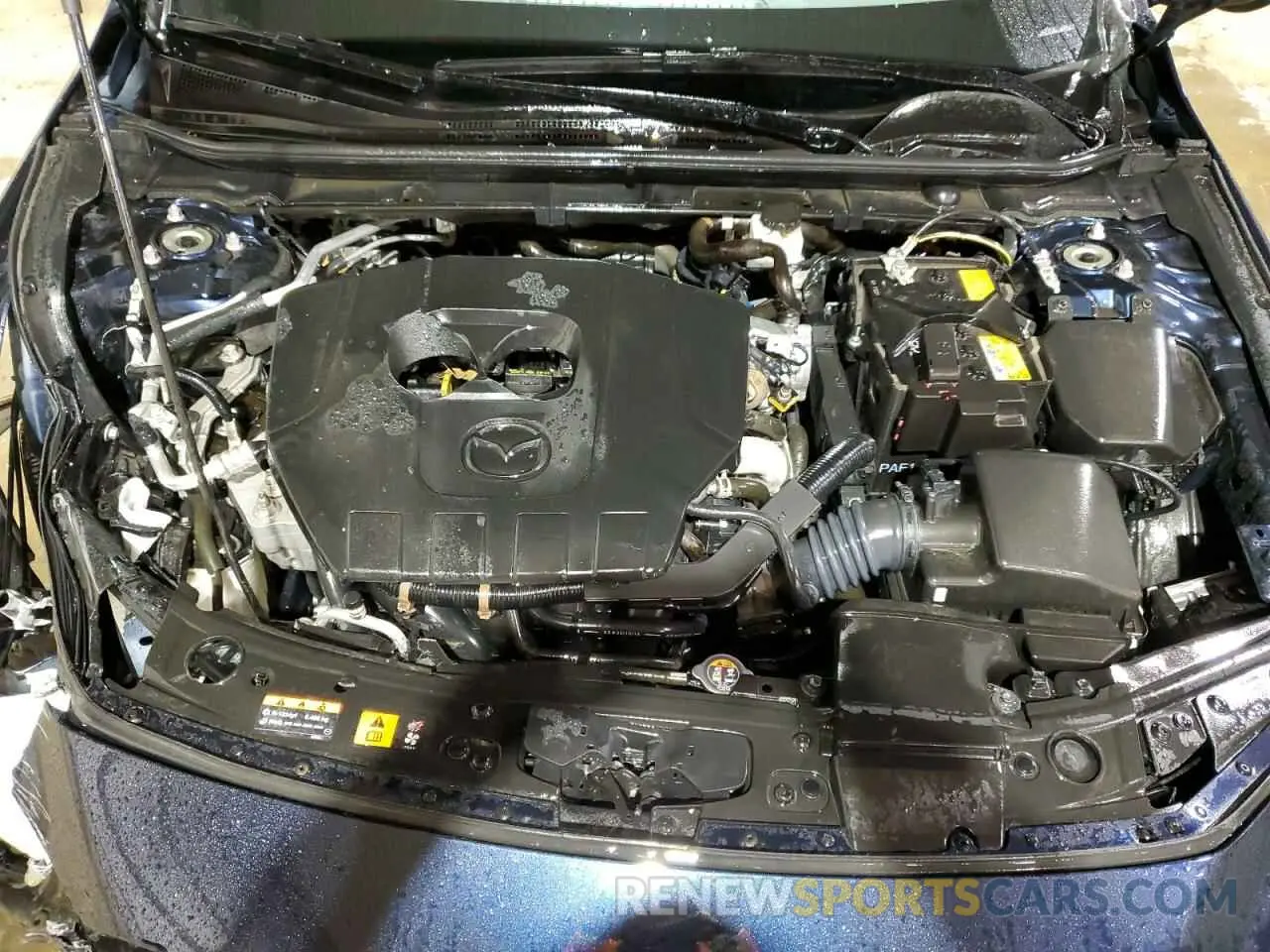 12 fotografías del automóvil dañado JM1BPALM4P1609704 MAZDA 3 2023