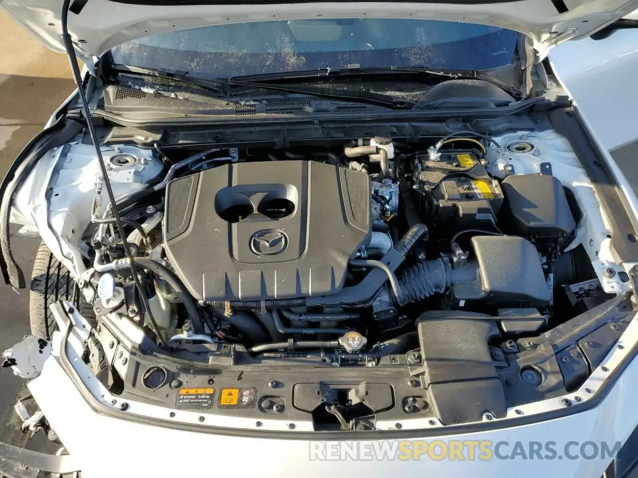 11 fotografías del automóvil dañado JM1BPALM9P1616681 MAZDA 3 2023