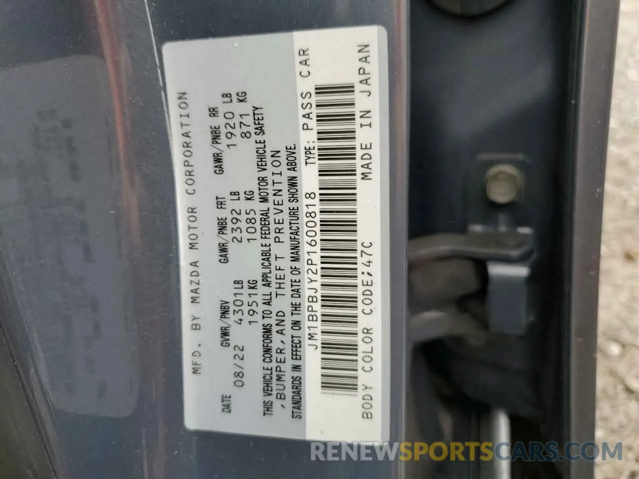 12 fotografías del automóvil dañado JM1BPBJY2P1600818 MAZDA 3 2023