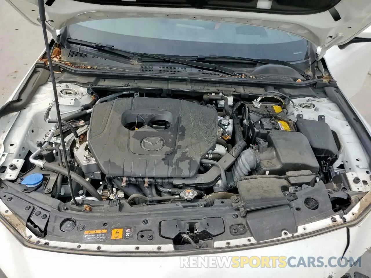 11 fotografías del automóvil dañado JM1BPBMMXP1621795 MAZDA 3 2023