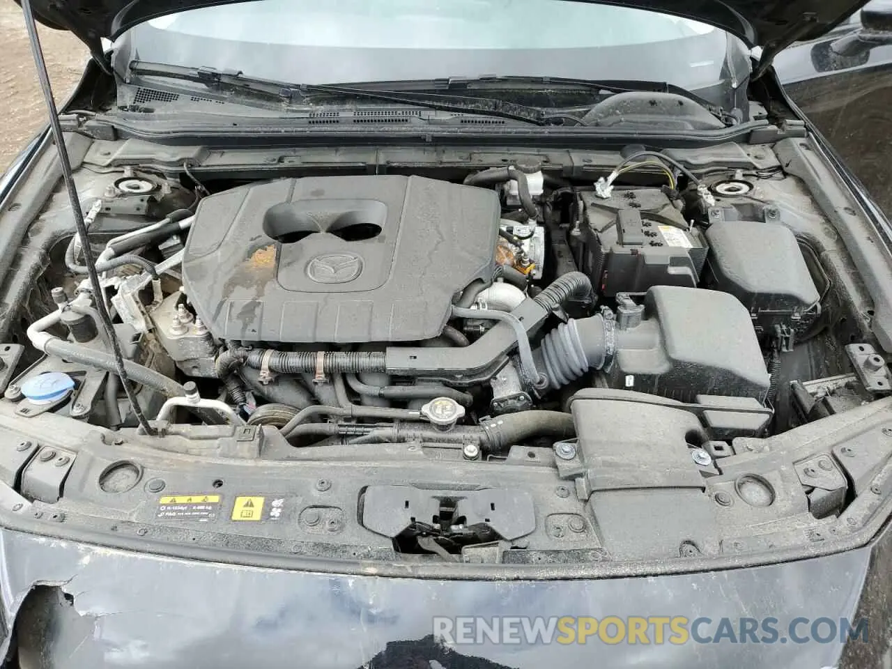 11 fotografías del automóvil dañado JM1BPACM7R1717138 MAZDA 3 2024