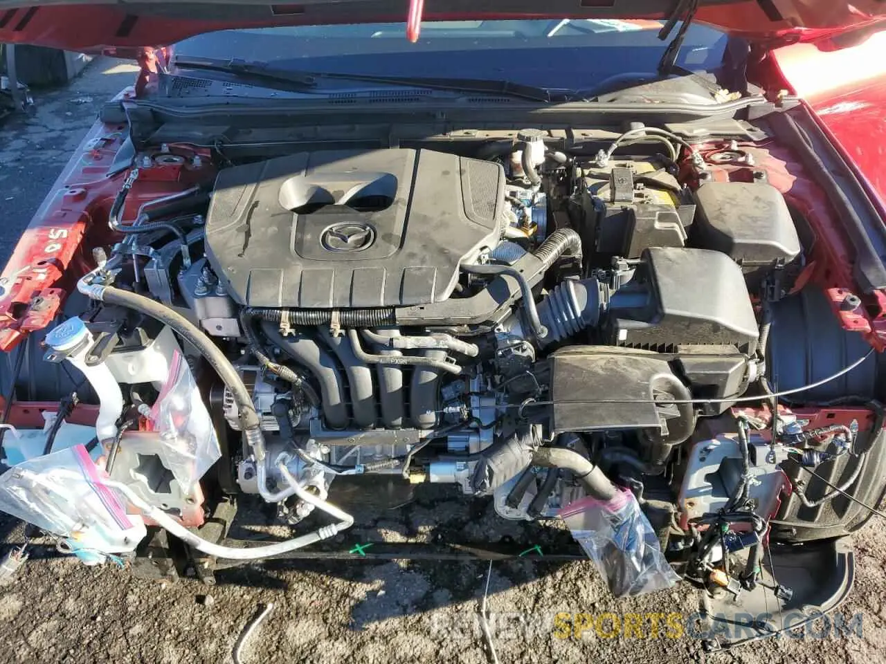 11 fotografías del automóvil dañado JM1BPALM4R1658680 MAZDA 3 2024
