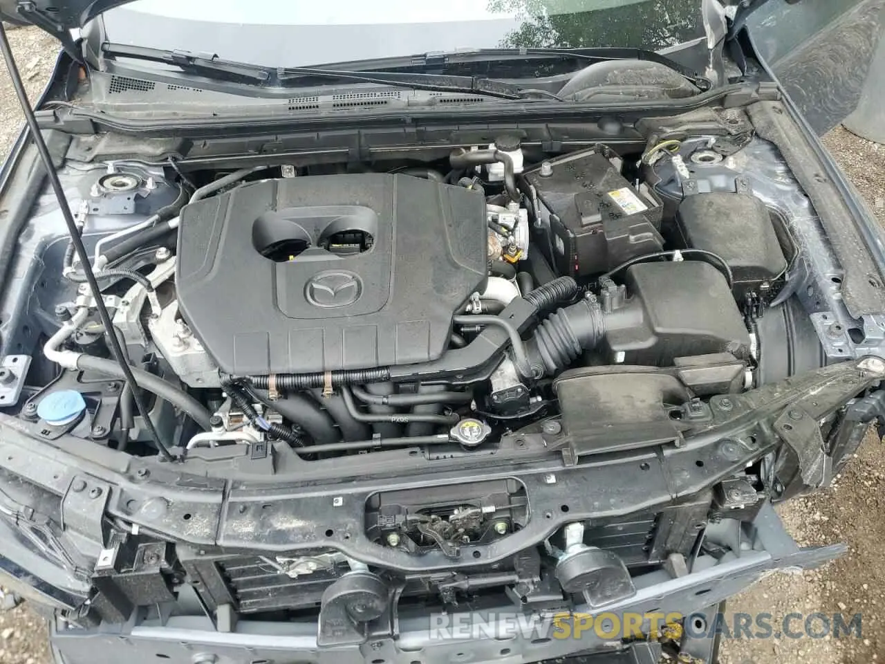 11 fotografías del automóvil dañado JM1BPALM5R1715730 MAZDA 3 2024