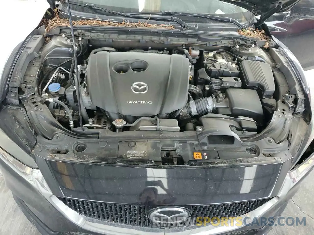 11 fotografías del automóvil dañado JM1GL1UM1K1501873 MAZDA 6 2019