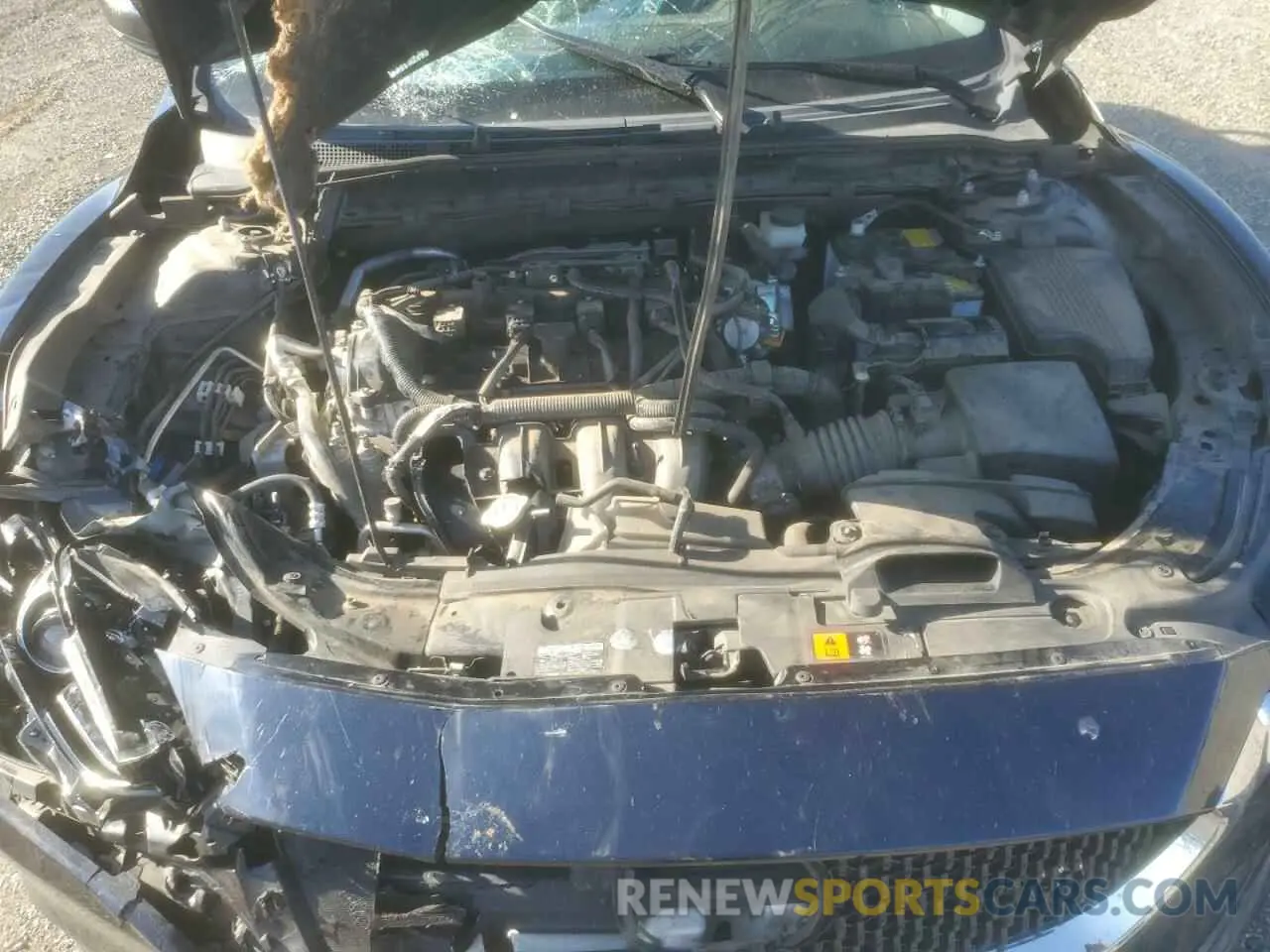 12 fotografías del automóvil dañado JM1GL1VM5K1502586 MAZDA 6 2019