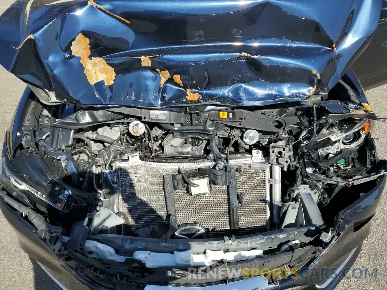 13 fotografías del automóvil dañado JM1GL1WY5K1509720 MAZDA 6 2019