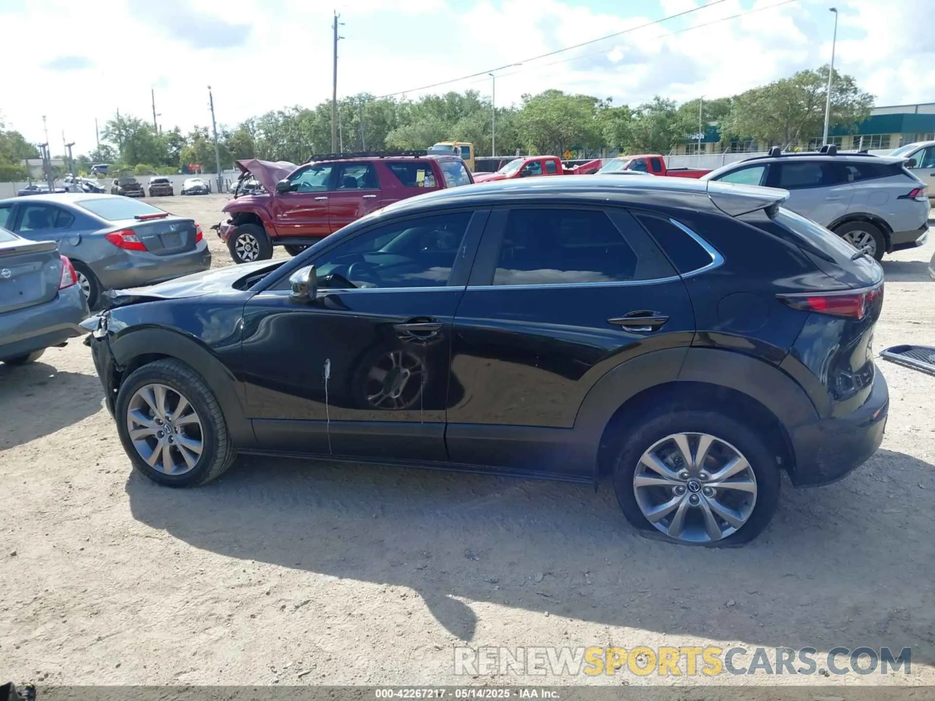 13 fotografías del automóvil dañado 3MVDMABL1MM251761 MAZDA CX-30 2021