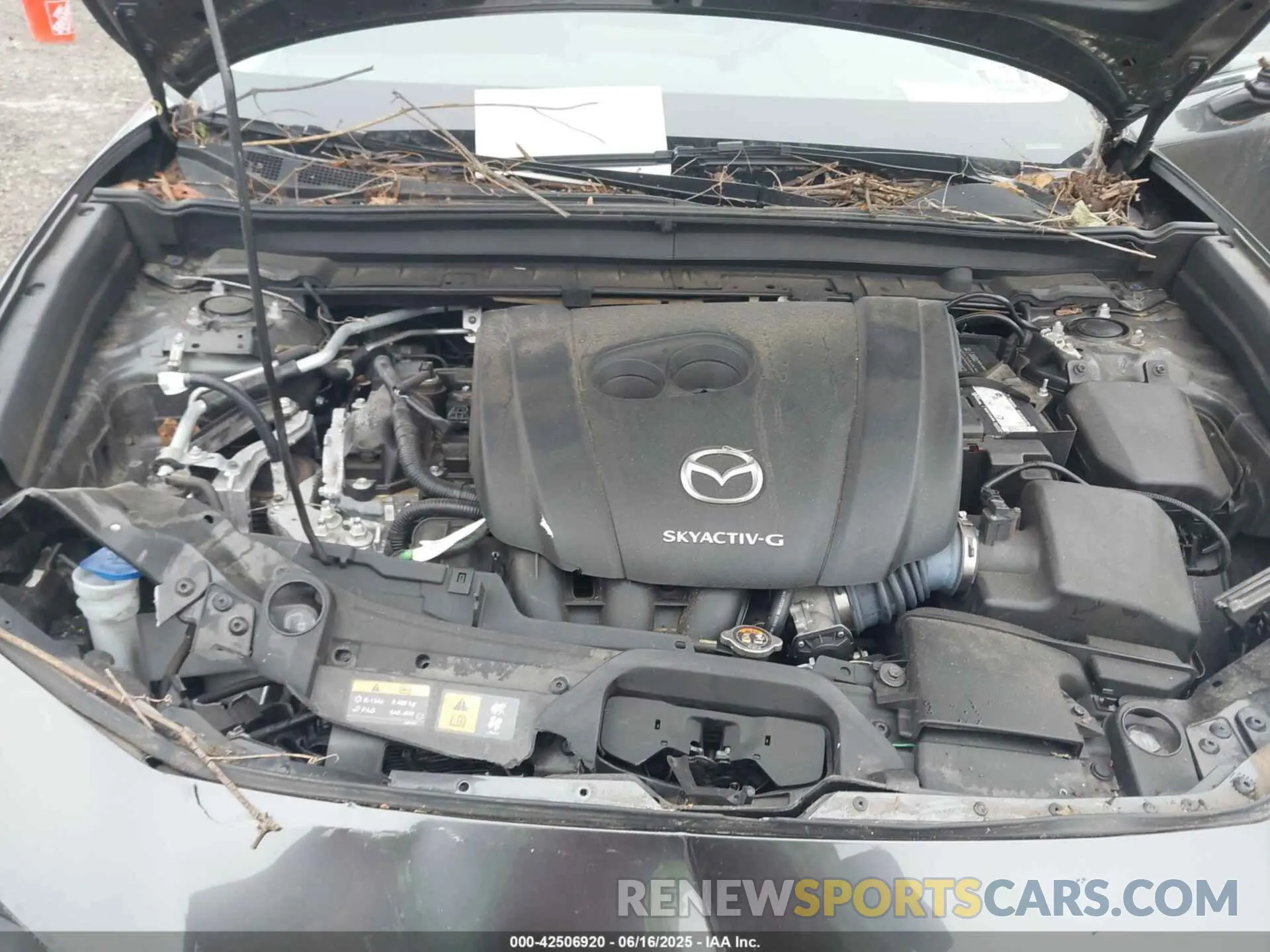 10 fotografías del automóvil dañado 3MVDMBCL3MM213601 MAZDA CX-30 2021