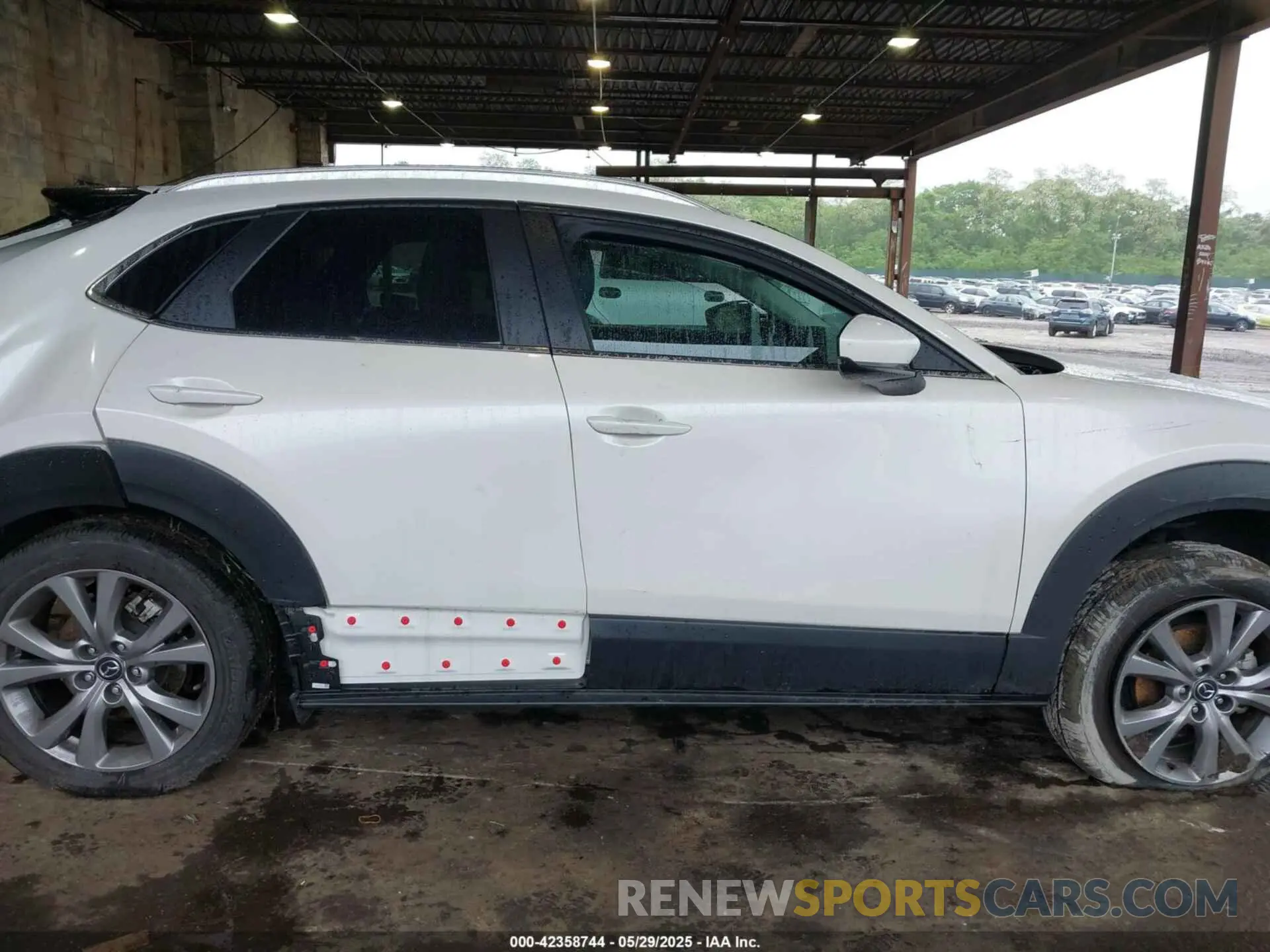 12 fotografías del automóvil dañado 3MVDMBBM3PM544824 MAZDA CX-30 2023