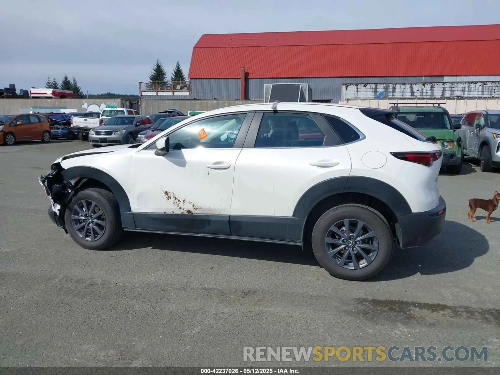 14 fotografías del automóvil dañado 3MVDMBAM2RM667132 MAZDA CX-30 2024