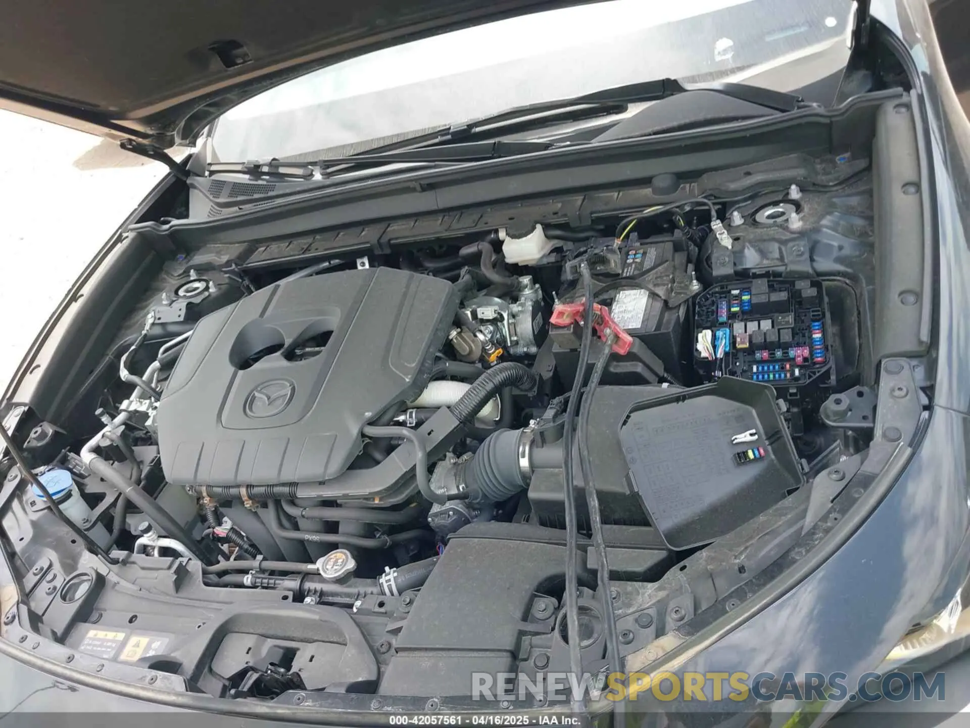 10 fotografías del automóvil dañado 3MVDMBBMXRM625841 MAZDA CX-30 2024