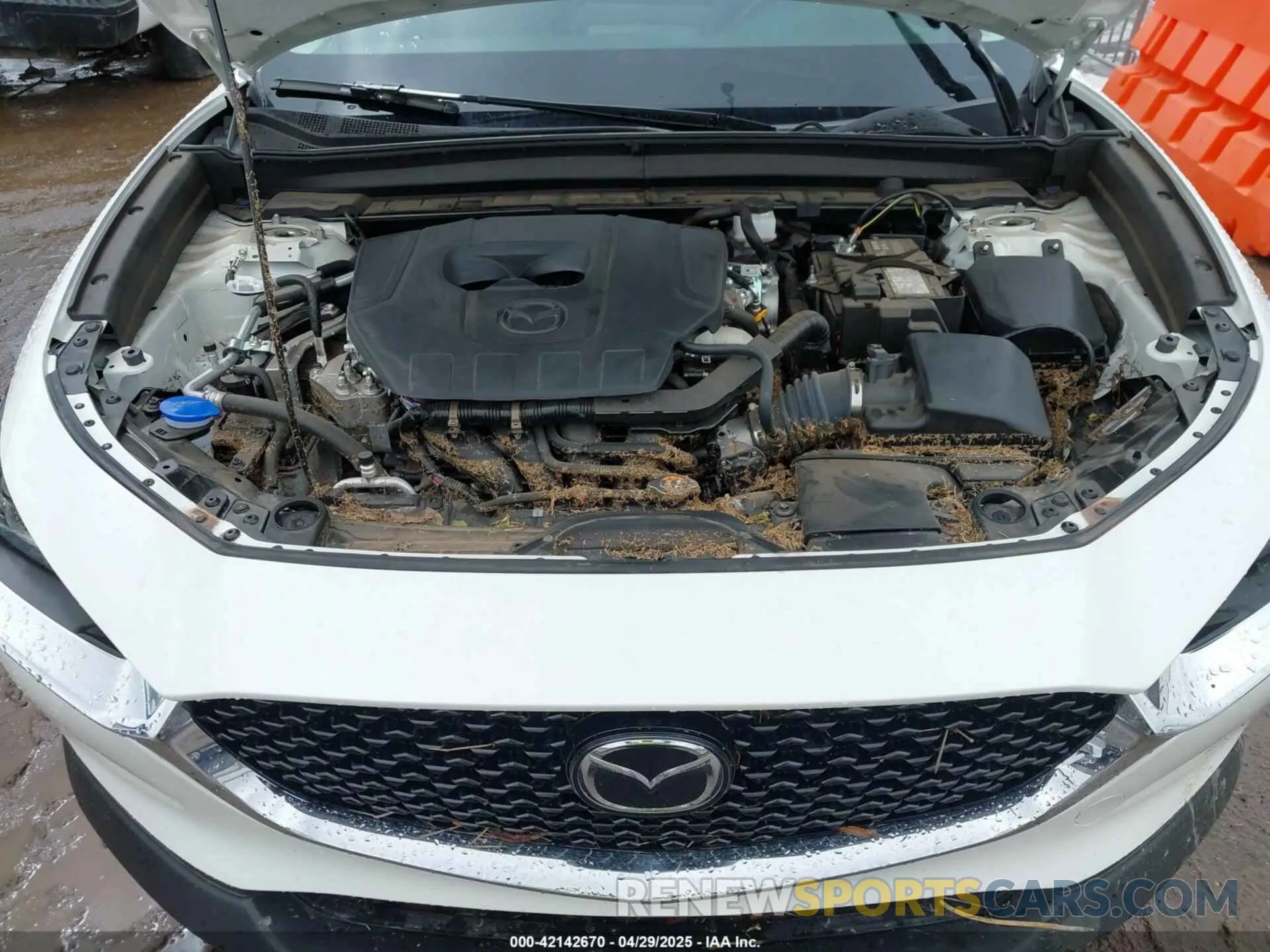 10 fotografías del automóvil dañado 3MVDMBCM2RM617697 MAZDA CX-30 2024