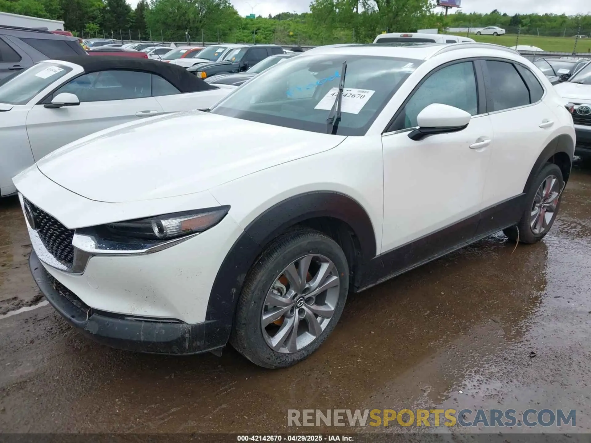 2 fotografías del automóvil dañado 3MVDMBCM2RM617697 MAZDA CX-30 2024