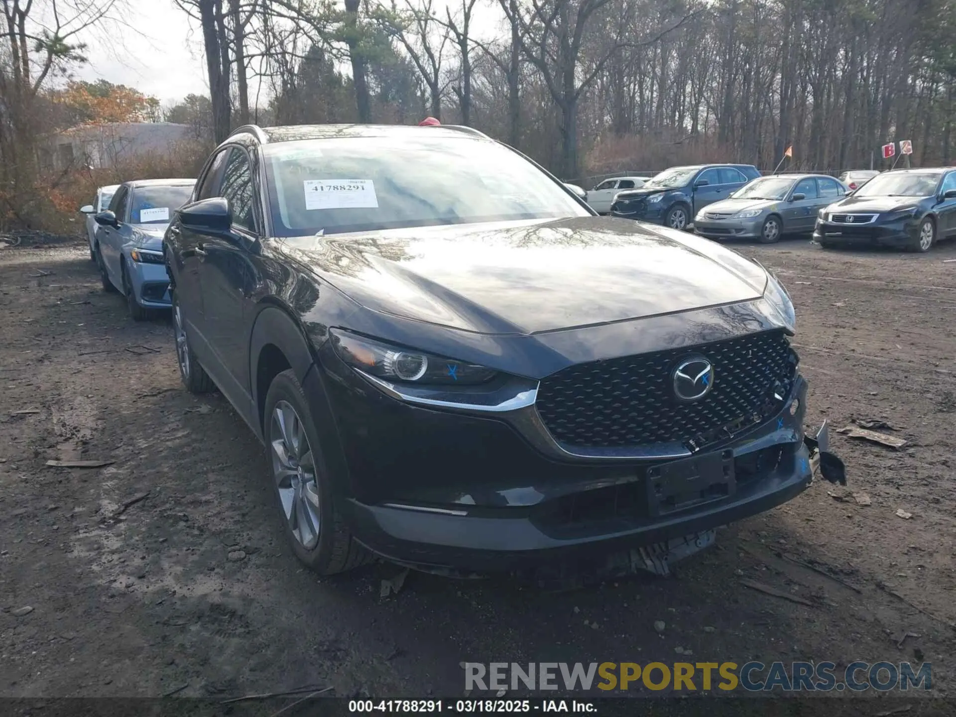 12 fotografías del automóvil dañado 3MVDMBCM4RM681739 MAZDA CX-30 2024
