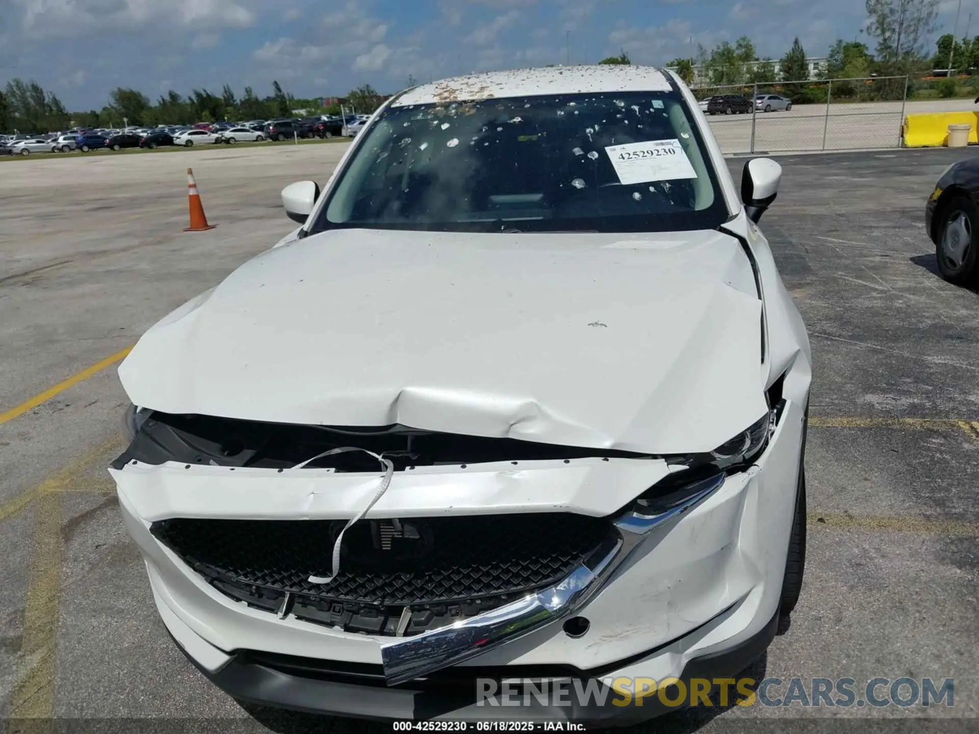 12 fotografías del automóvil dañado JM3KFABM3K0532947 MAZDA CX-5 2019