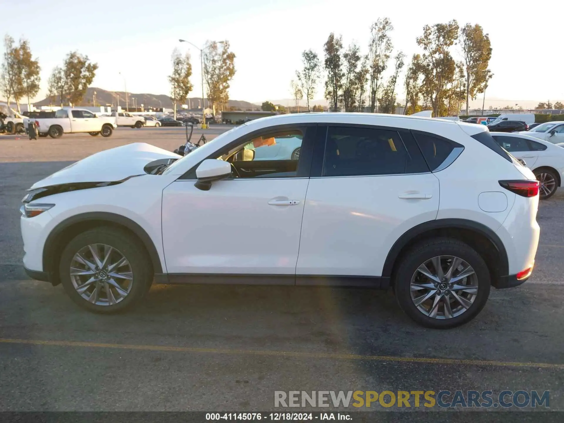 14 fotografías del automóvil dañado JM3KFADM2K1654321 MAZDA CX-5 2019