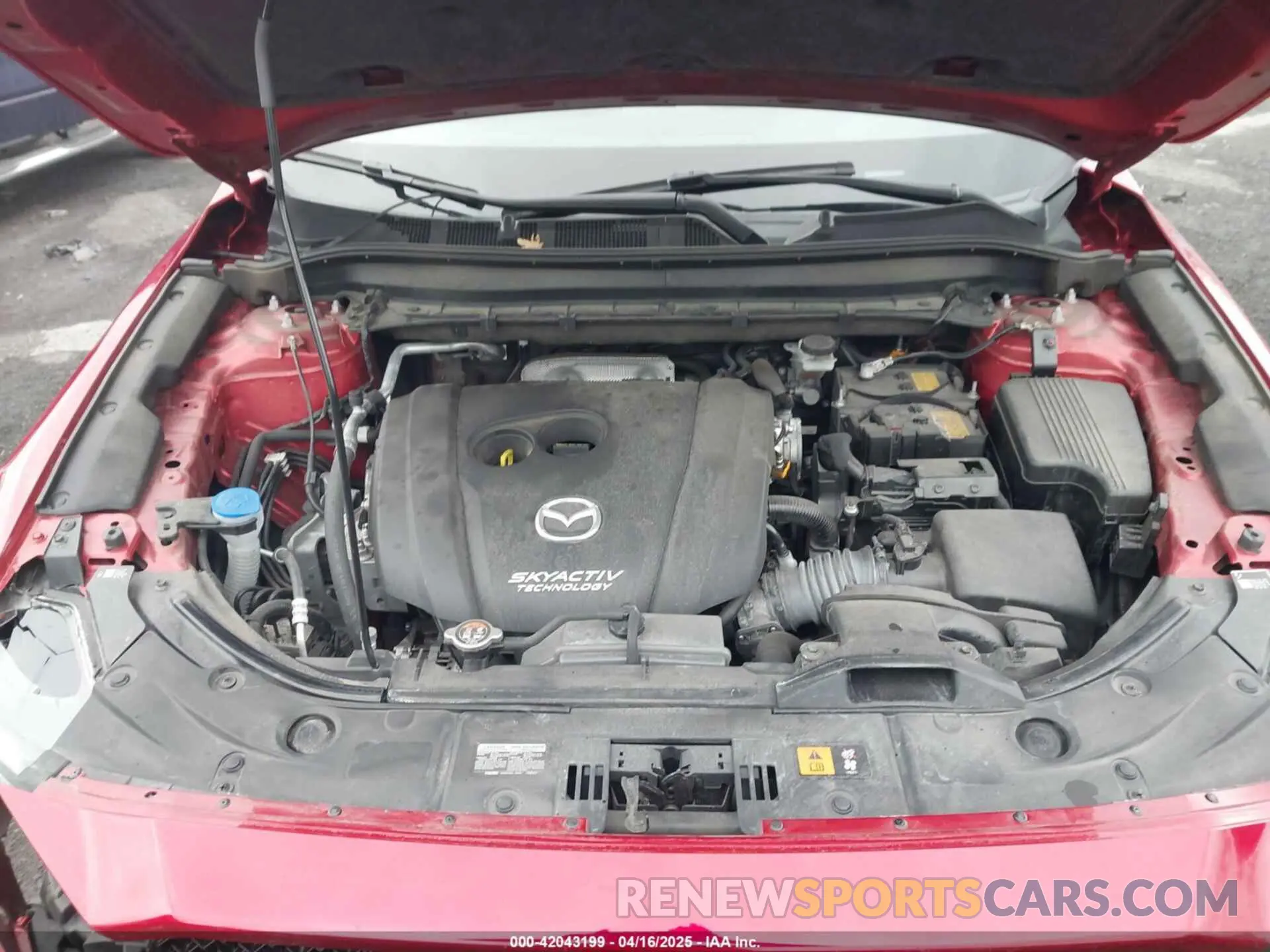 10 fotografías del automóvil dañado JM3KFBBM7K0538983 MAZDA CX-5 2019