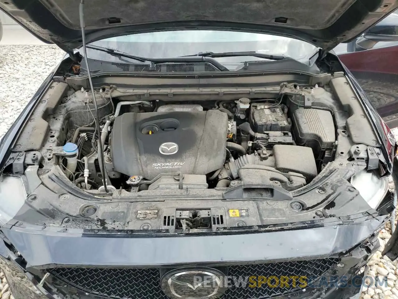 12 fotografías del automóvil dañado JM3KFBCM1K0699327 MAZDA CX-5 2019