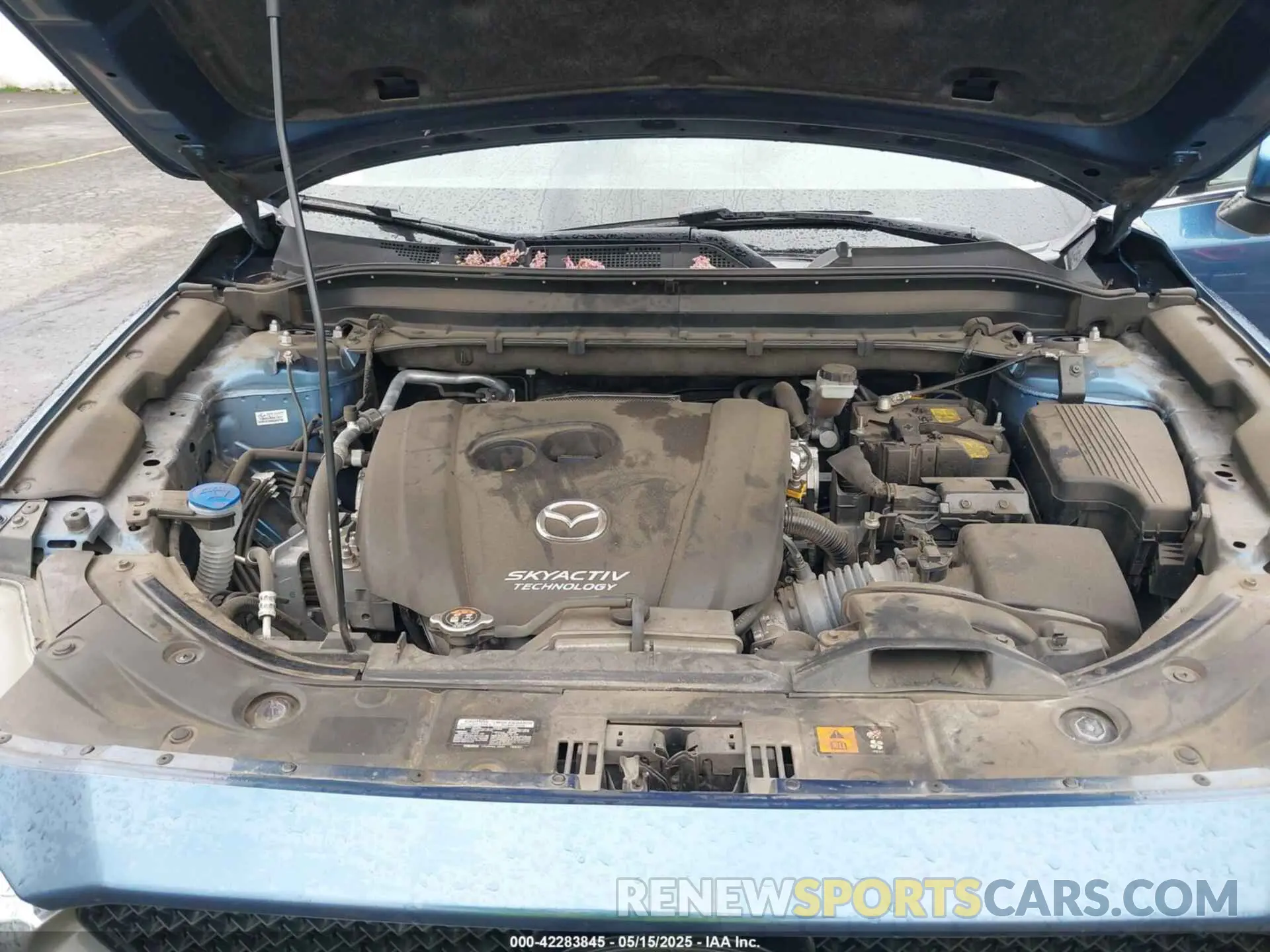 10 fotografías del automóvil dañado JM3KFBDM2K0580930 MAZDA CX-5 2019