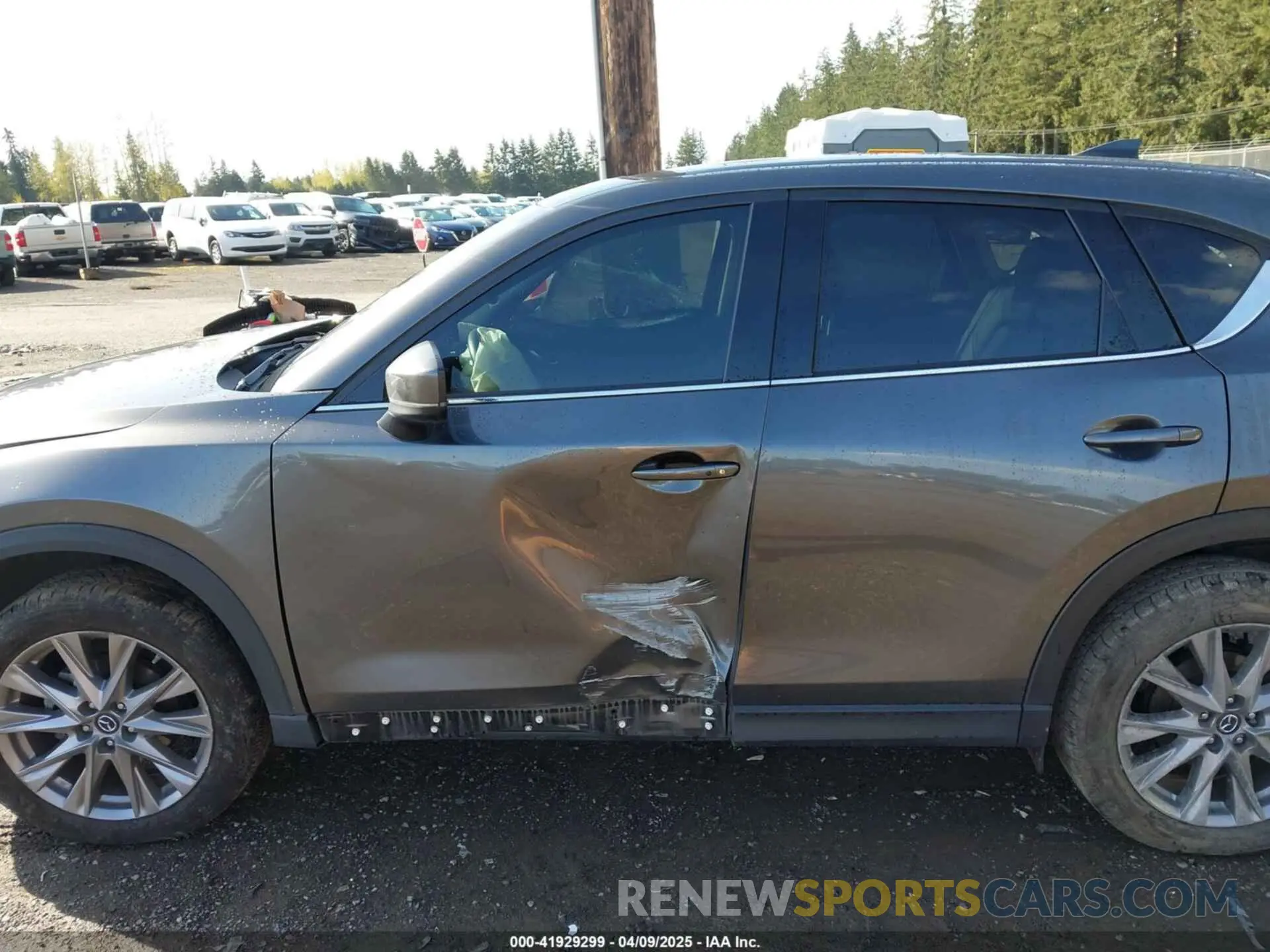 14 fotografías del automóvil dañado JM3KFBDM3K1677208 MAZDA CX-5 2019