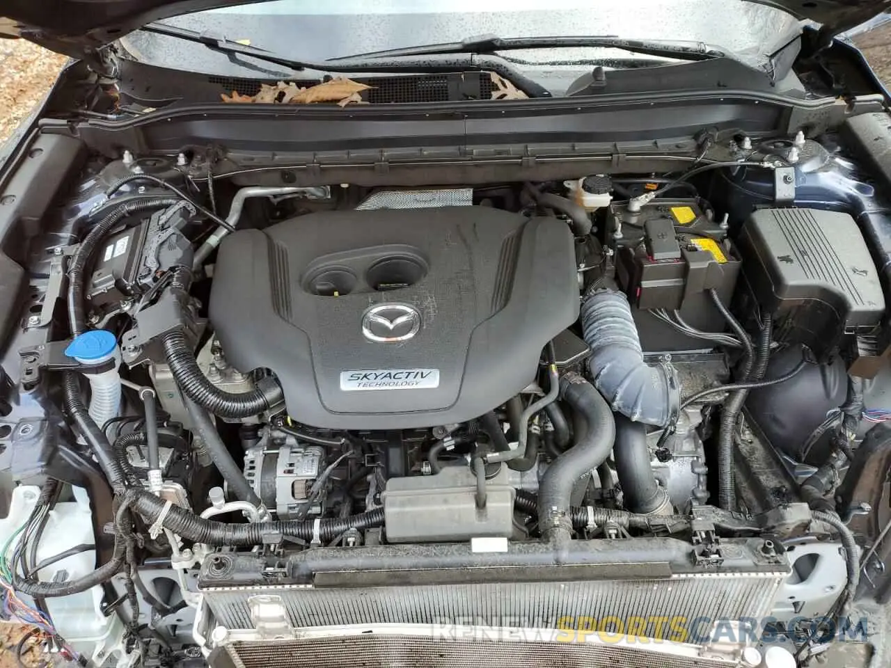 12 fotografías del automóvil dañado JM3KFBDY2K0644273 MAZDA CX-5 2019