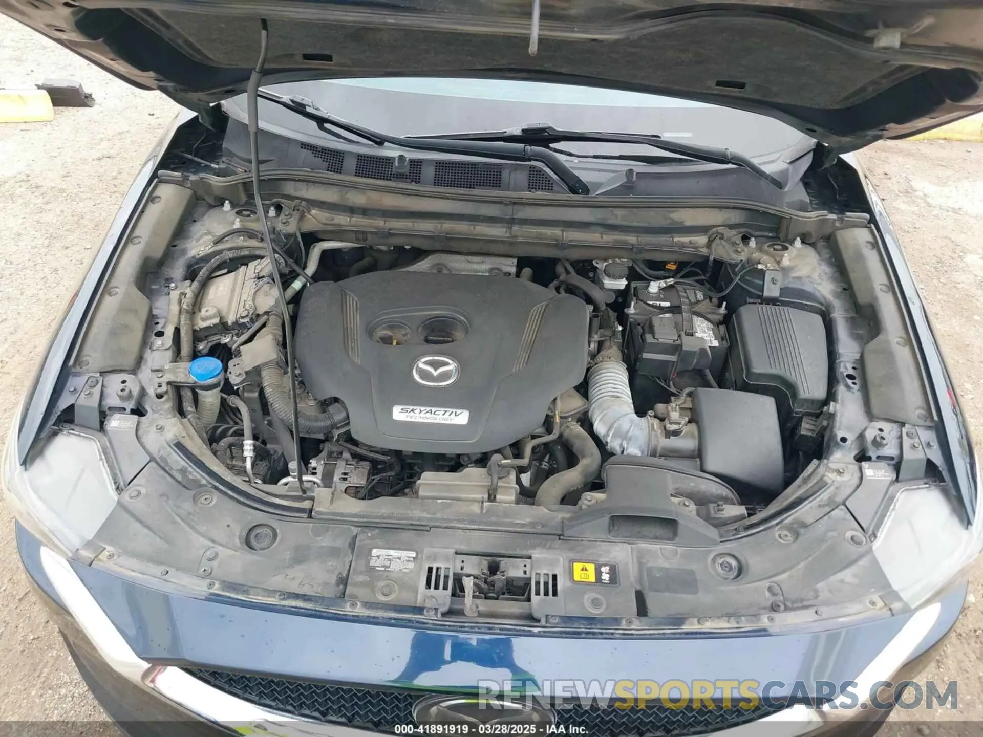 10 fotografías del automóvil dañado JM3KFBDY4K0639916 MAZDA CX-5 2019